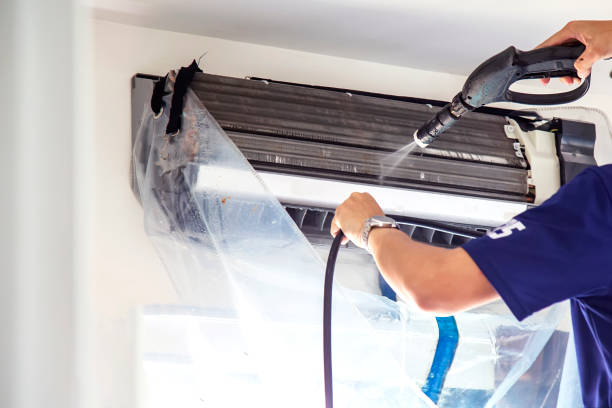 Air Duct Mold Removal in Rosedale, MS